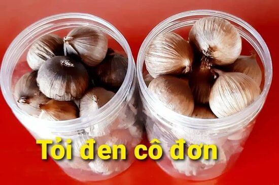 TỎI ĐEN 